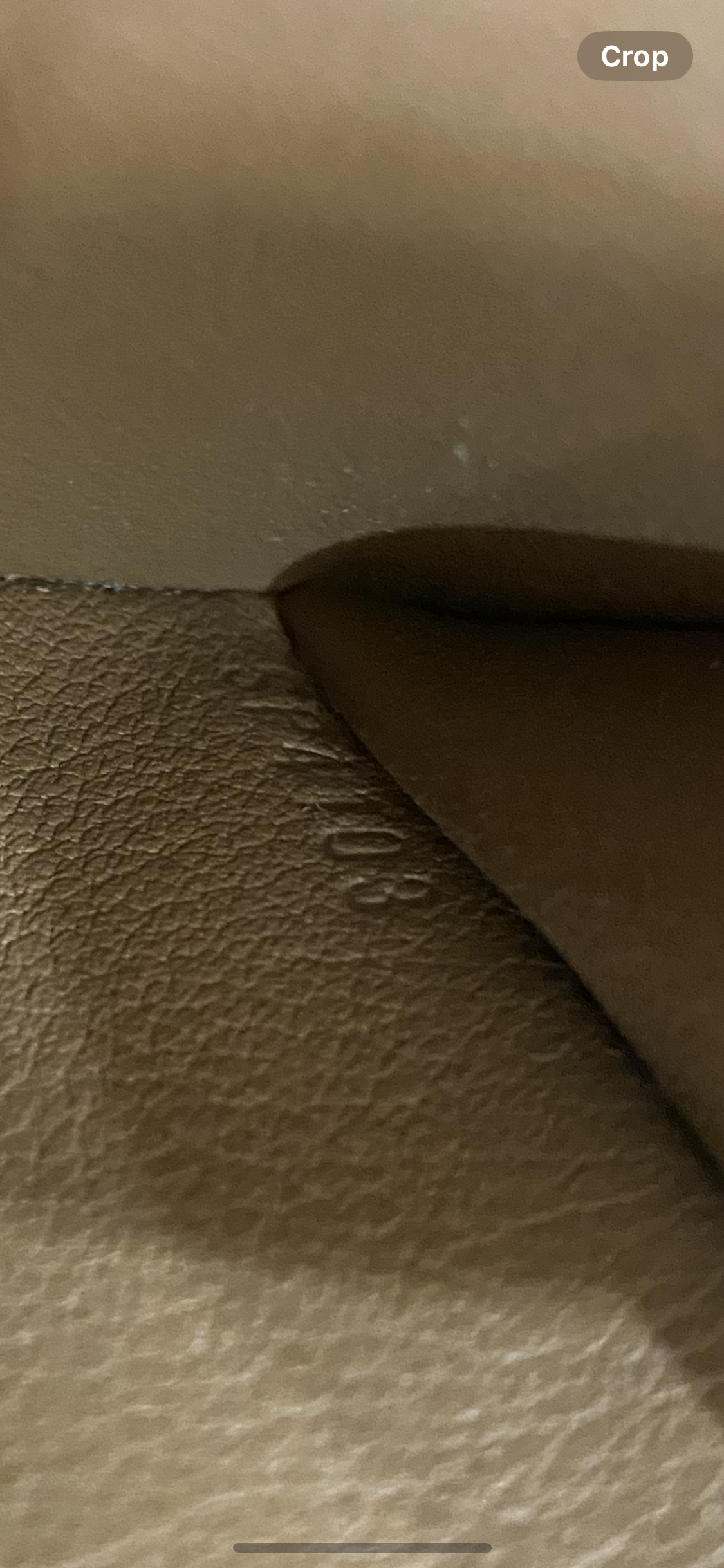 Elysee Long Wallet
