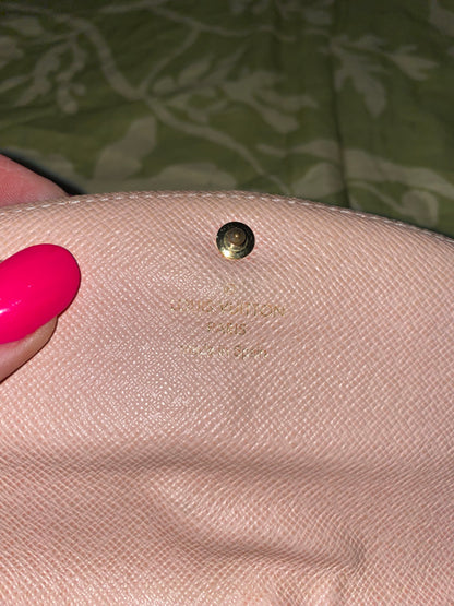 Caissa Wallet in Damier