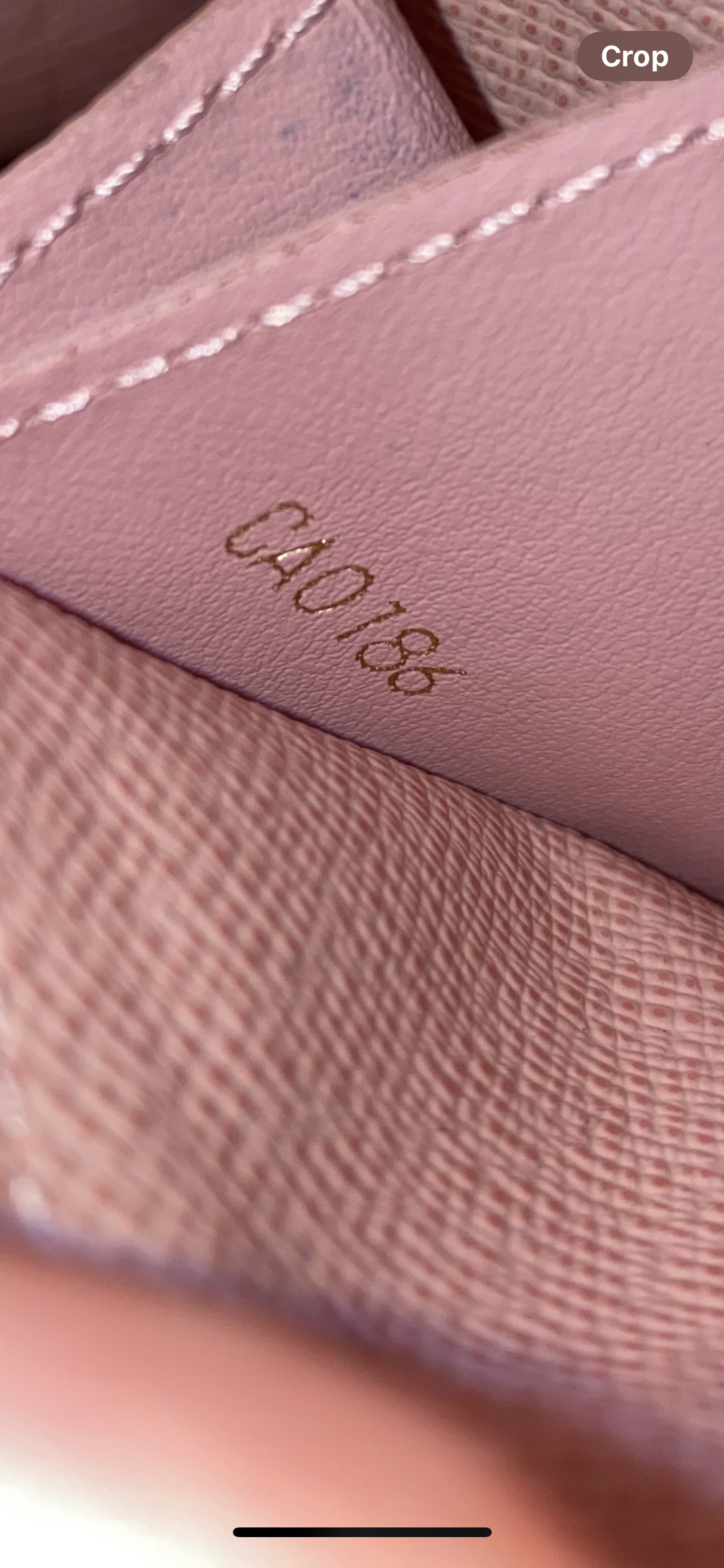 Caissa Wallet in Damier