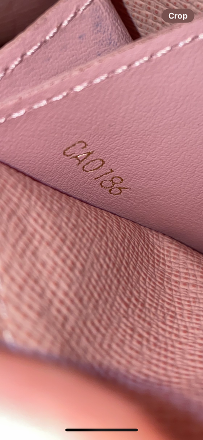 Caissa Wallet in Damier