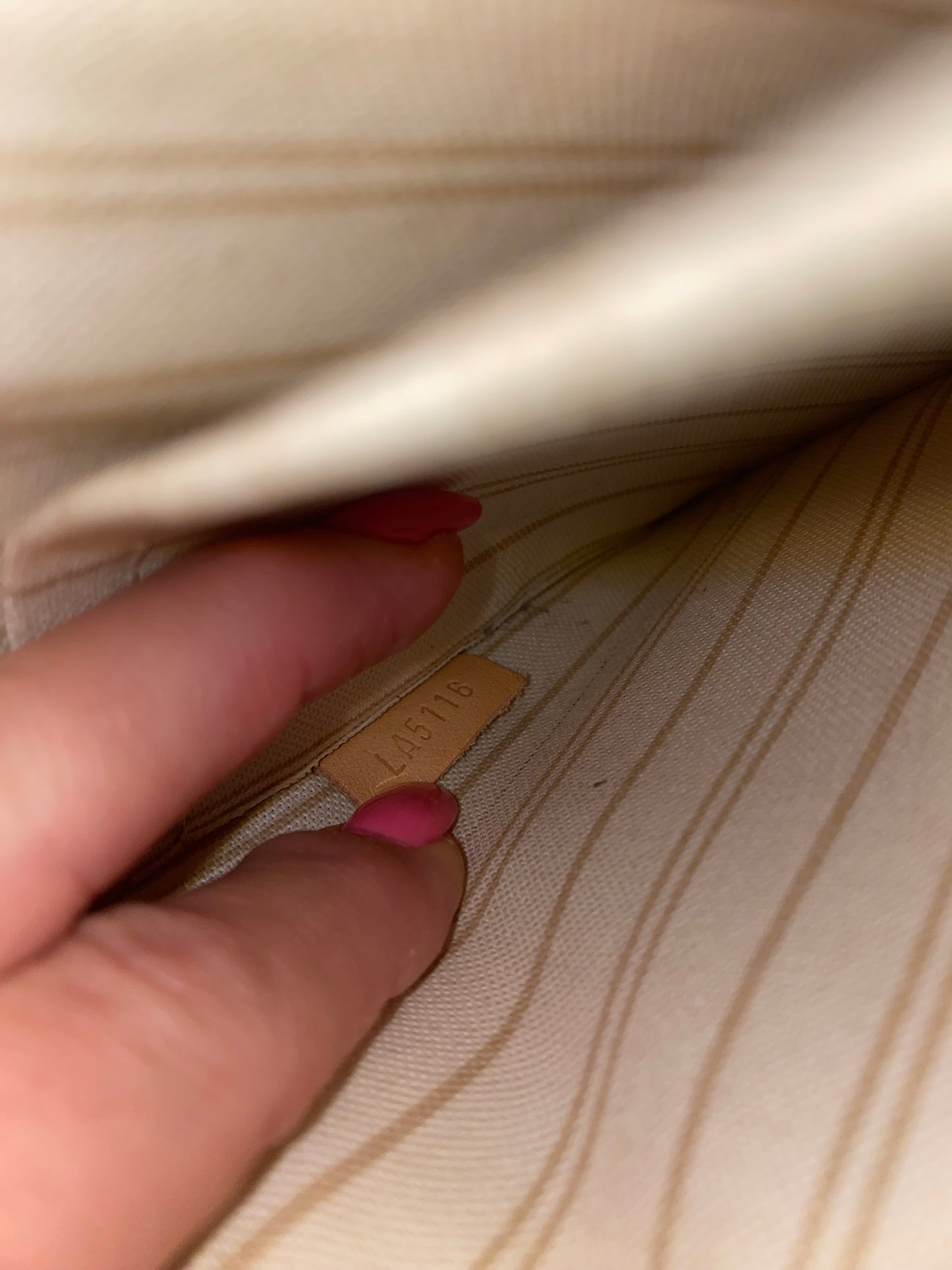 Neverfull Pouch GM in DA print