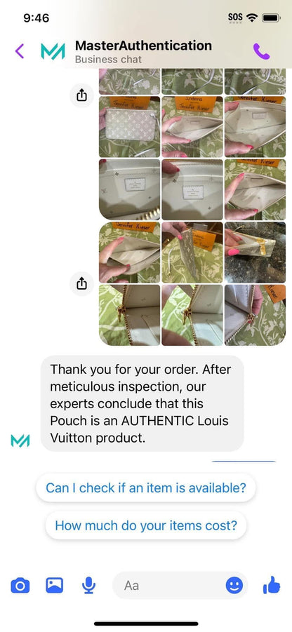 Neverfull Pouch GM (Spring in the City collection)