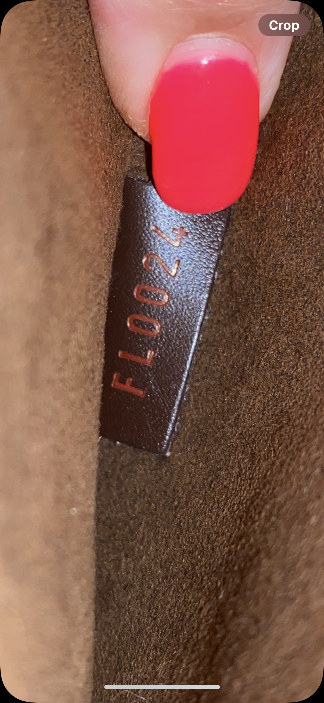 Saint Louis Clutch DE print